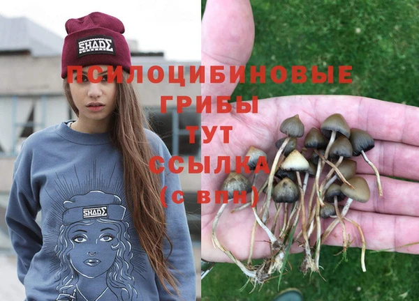 скорость Костерёво