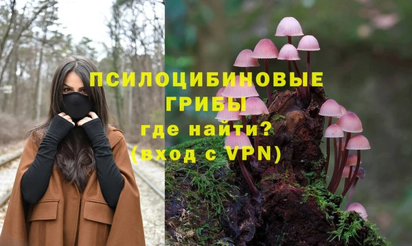 дурь Корсаков