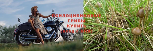 дурь Корсаков